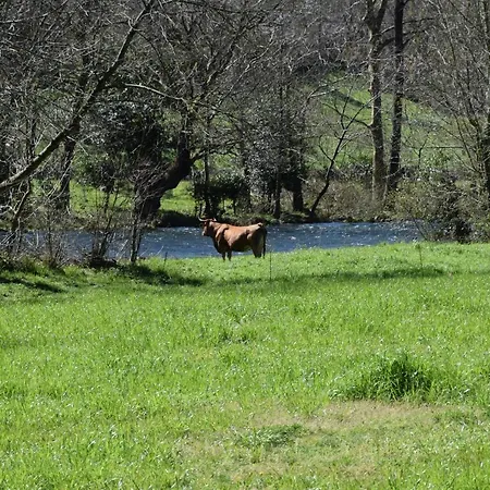 Apartman Viv Tur La Quintana I