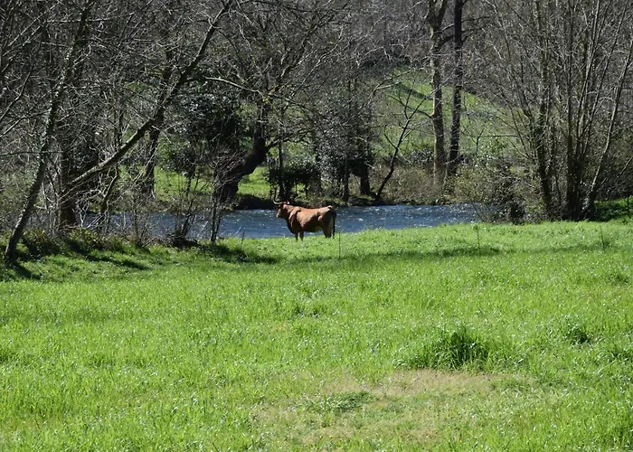 Apartament Viv Tur La Quintana I